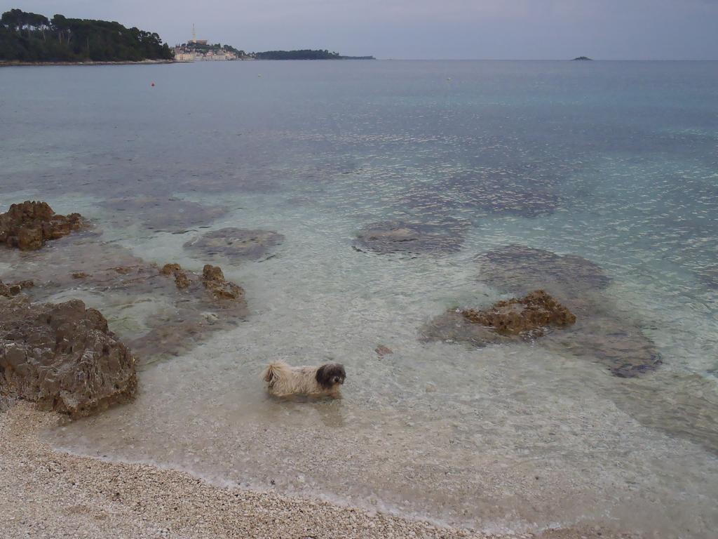 Apartments Mirta Rovinj Exterior photo